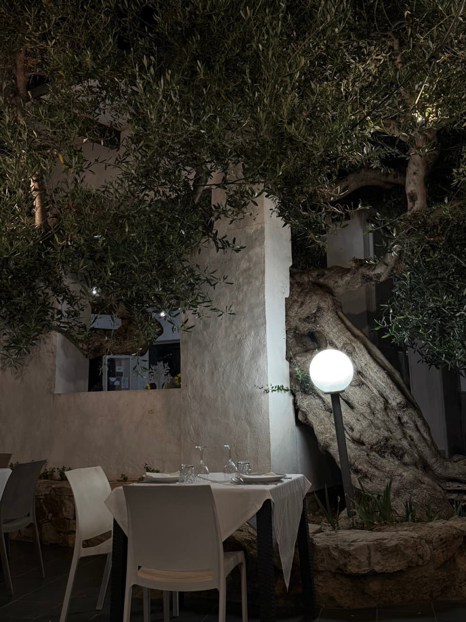 Il Gazebo con Albero